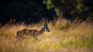 5 Essential Things You Need This Hunting Season