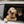 Doggy Door Protector - Set of two