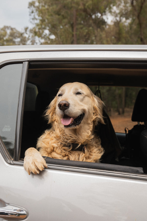 Doggy Door Protector - Set of two