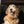 Doggy Door Protector - Set of two