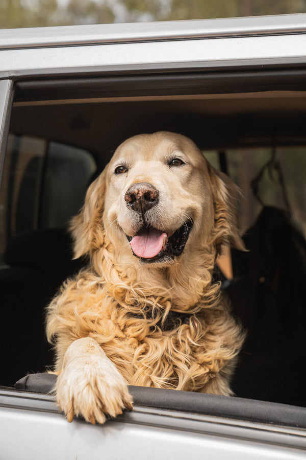 Doggy Door Protector - Set of two