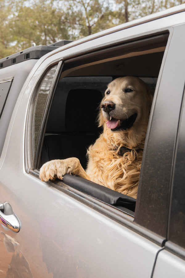 Doggy Door Protector - Set of two